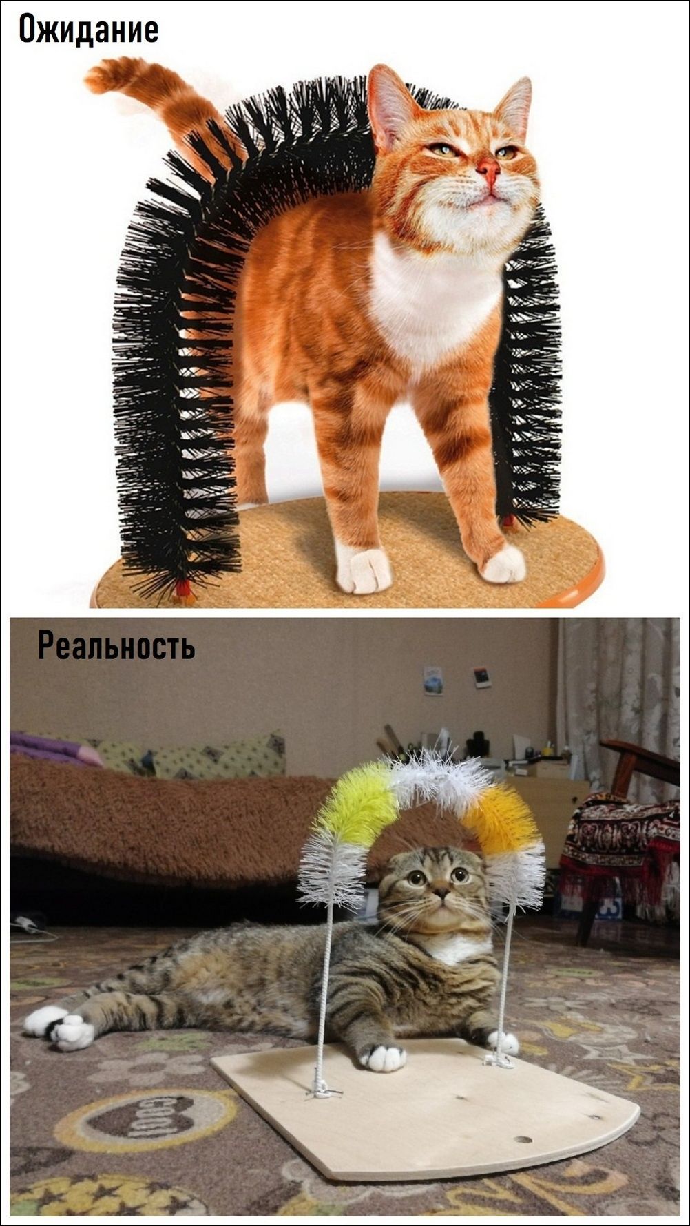 фотоприколы