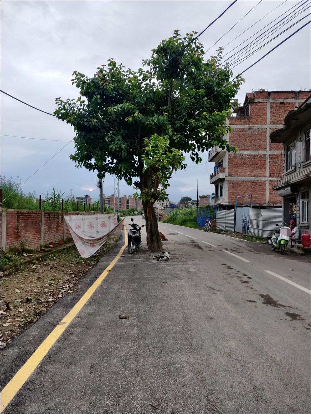 фотоприколы