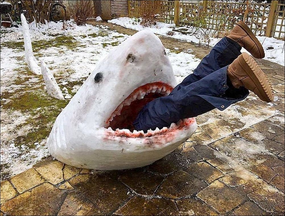 фотоприколы