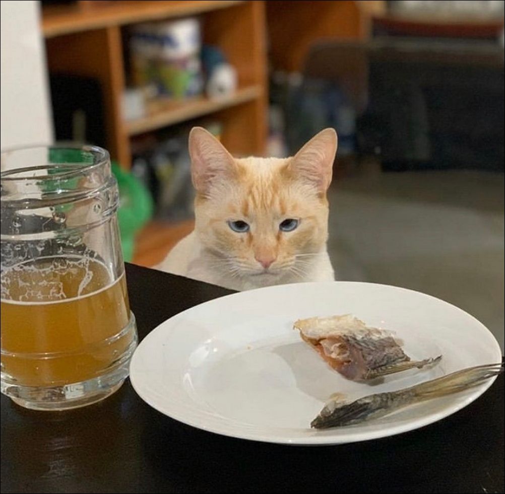 фотоприколы