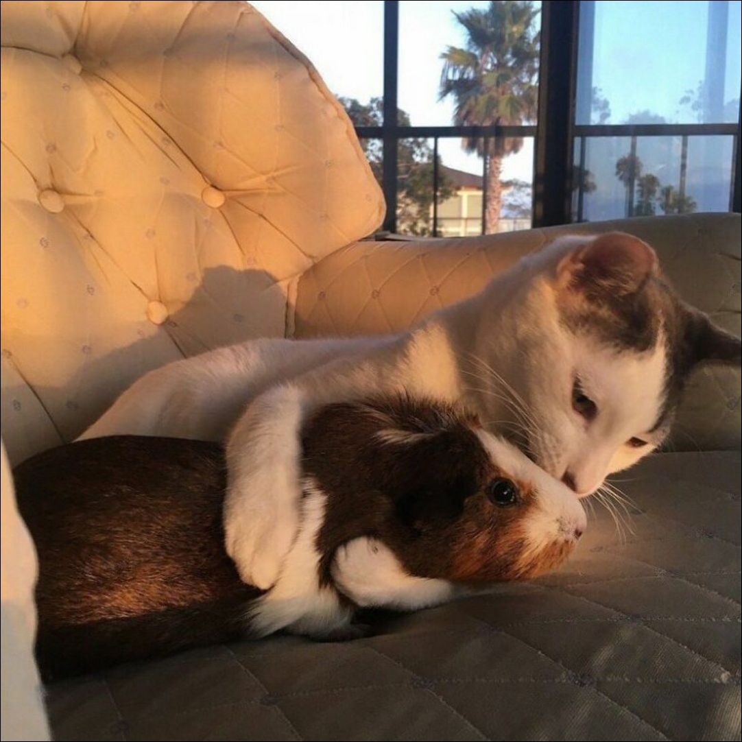 фотоприколы