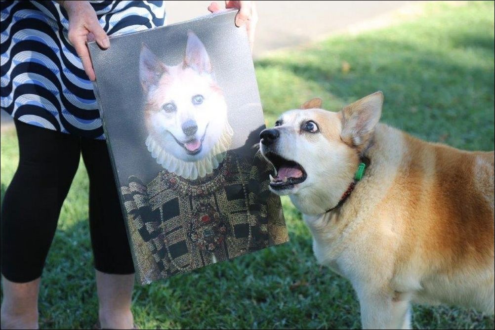 фотоприколы