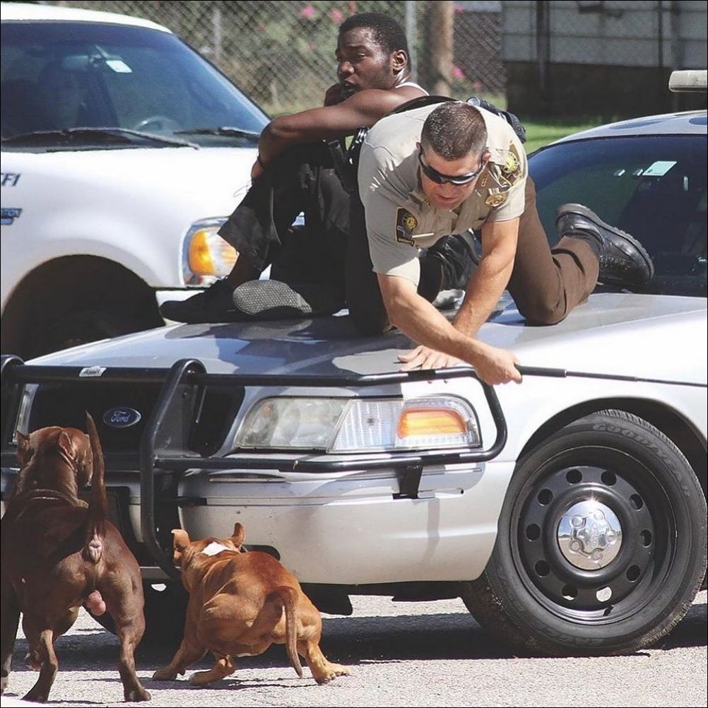 фотоприколы