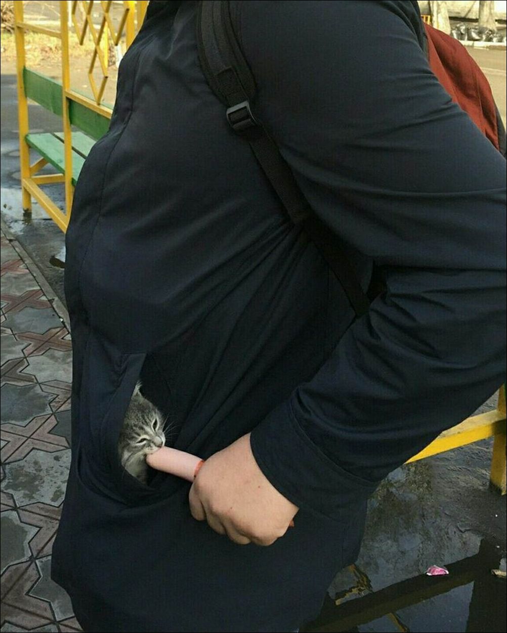 фотоприколы