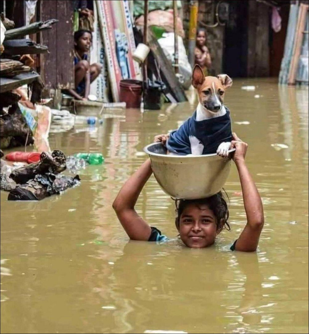 фотоприколы