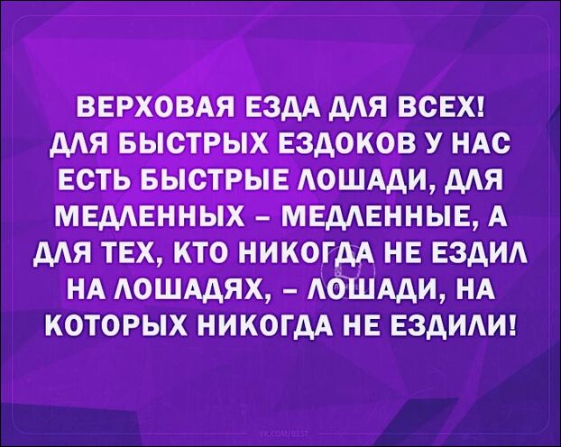 смешные аткрытки