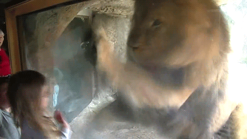 Прикольные гифки