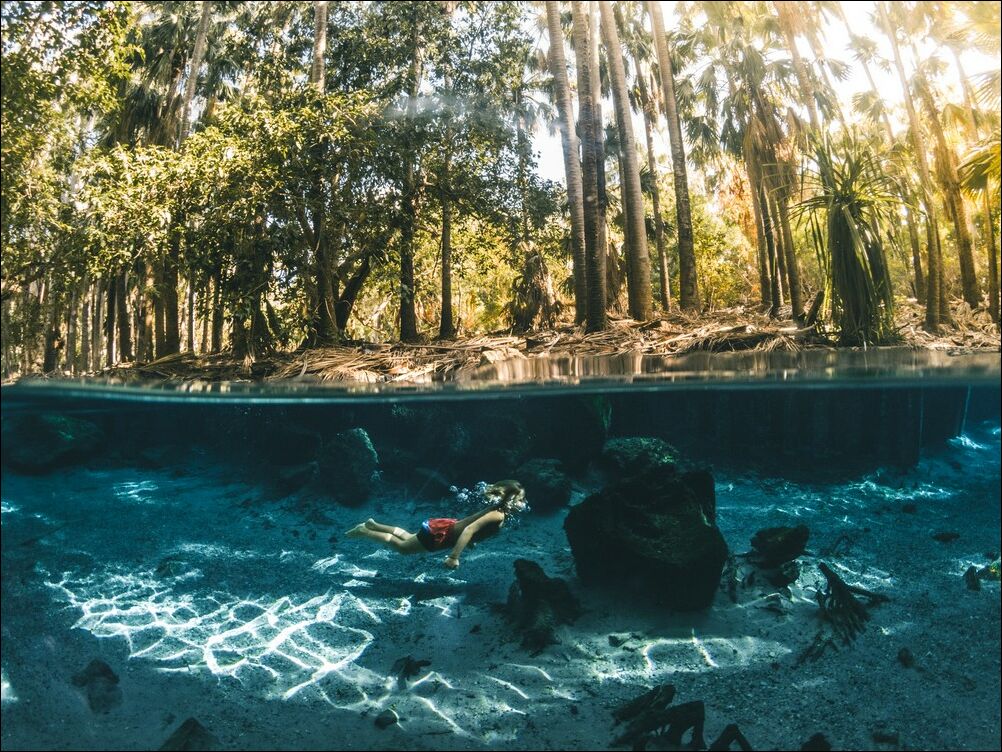 фотоприколы