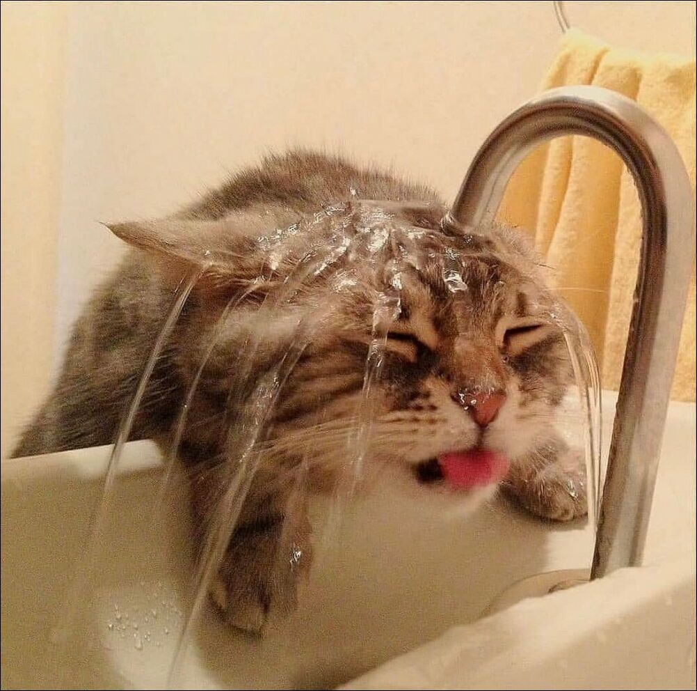 фотоприколы