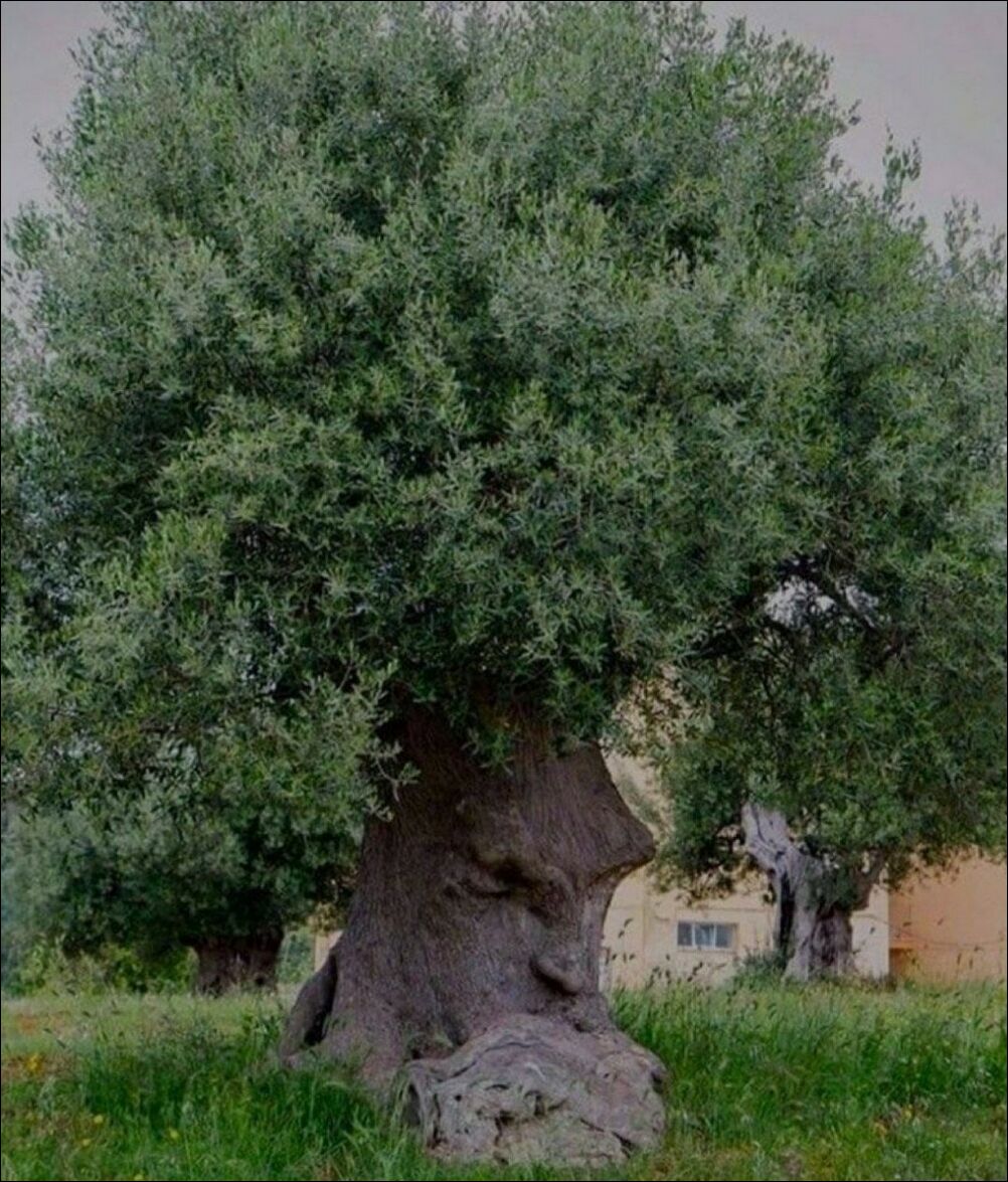 фотоприколы