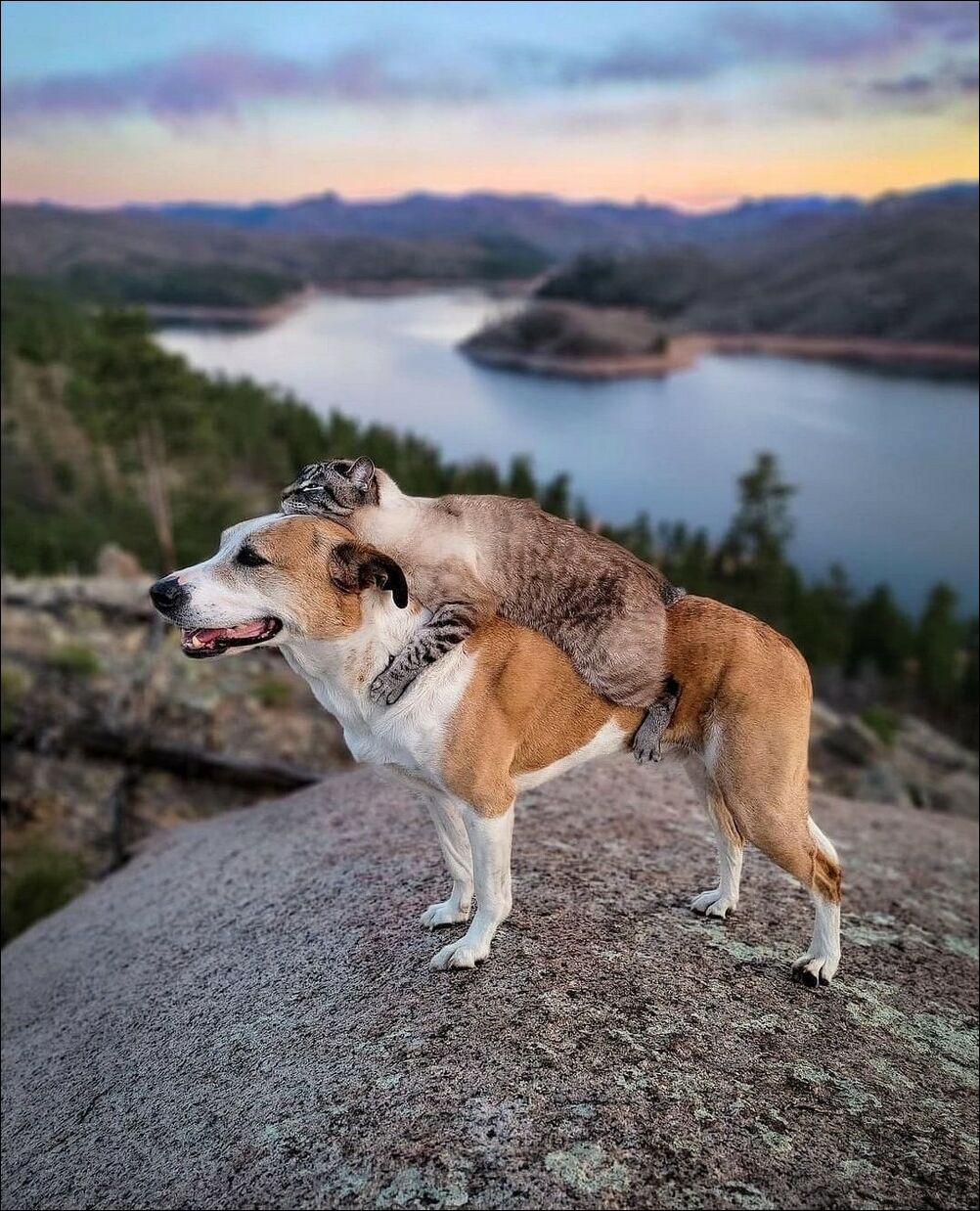 фотоприколы