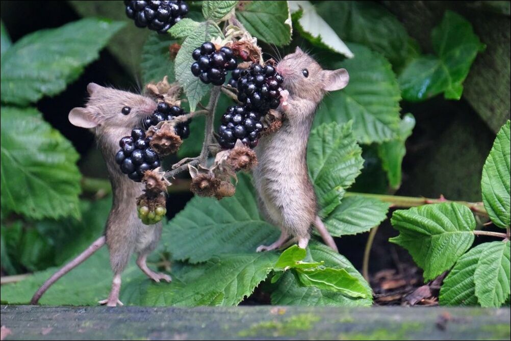 фотоприколы