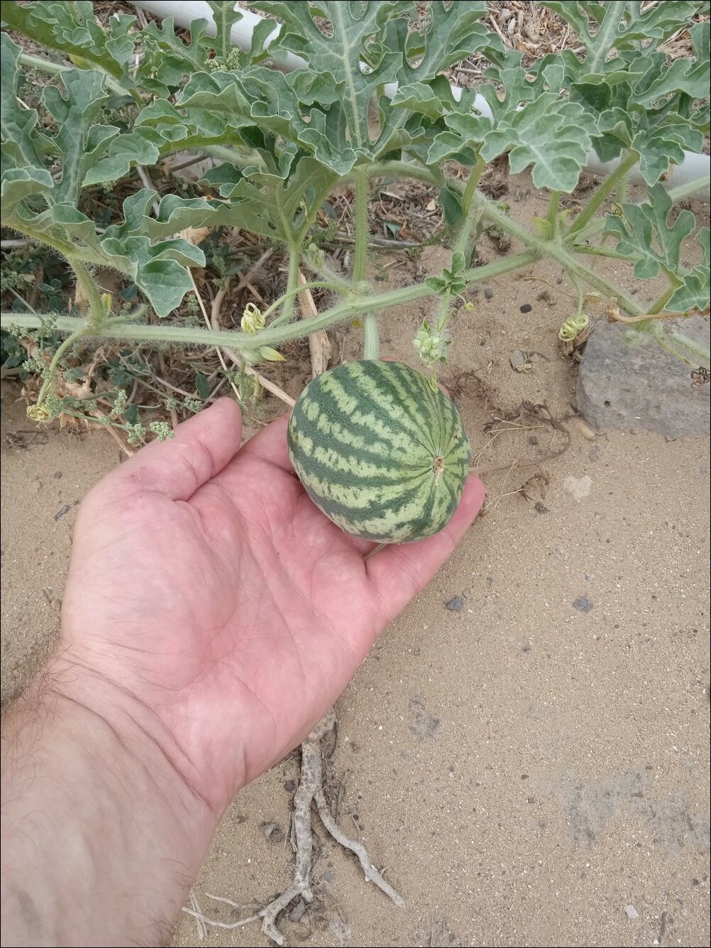 фотоприколы