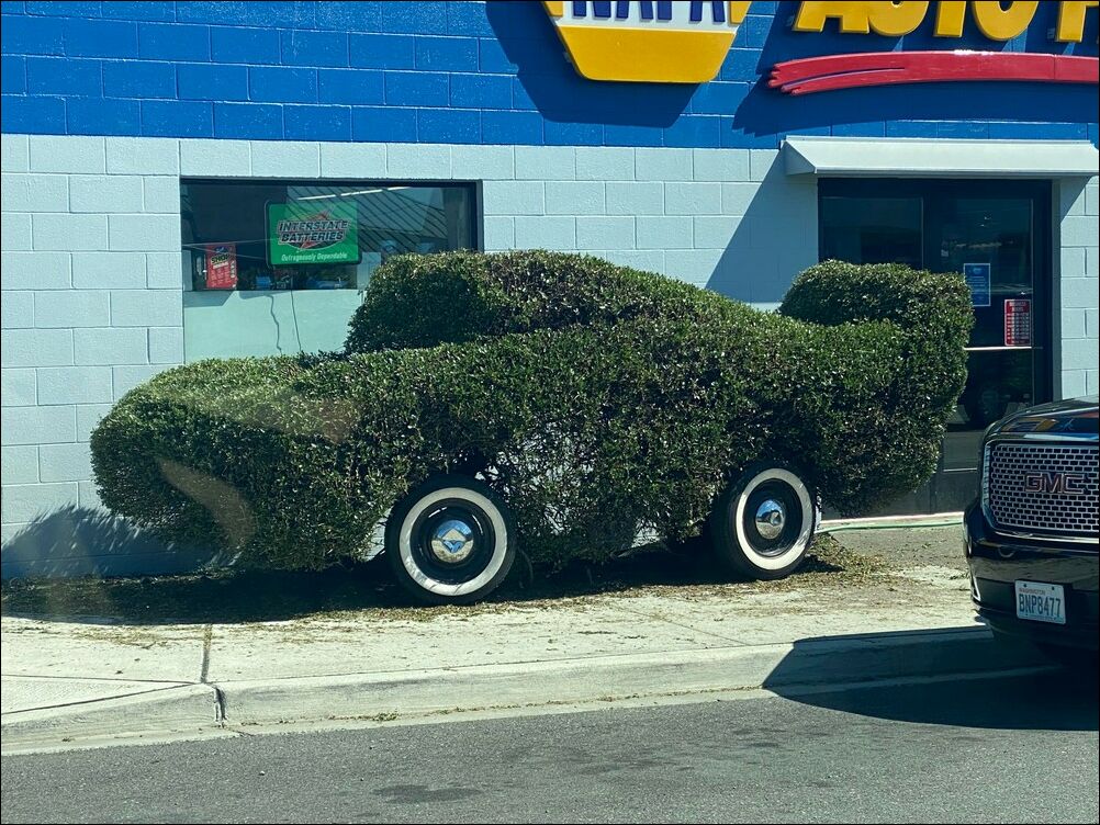 фотоприколы