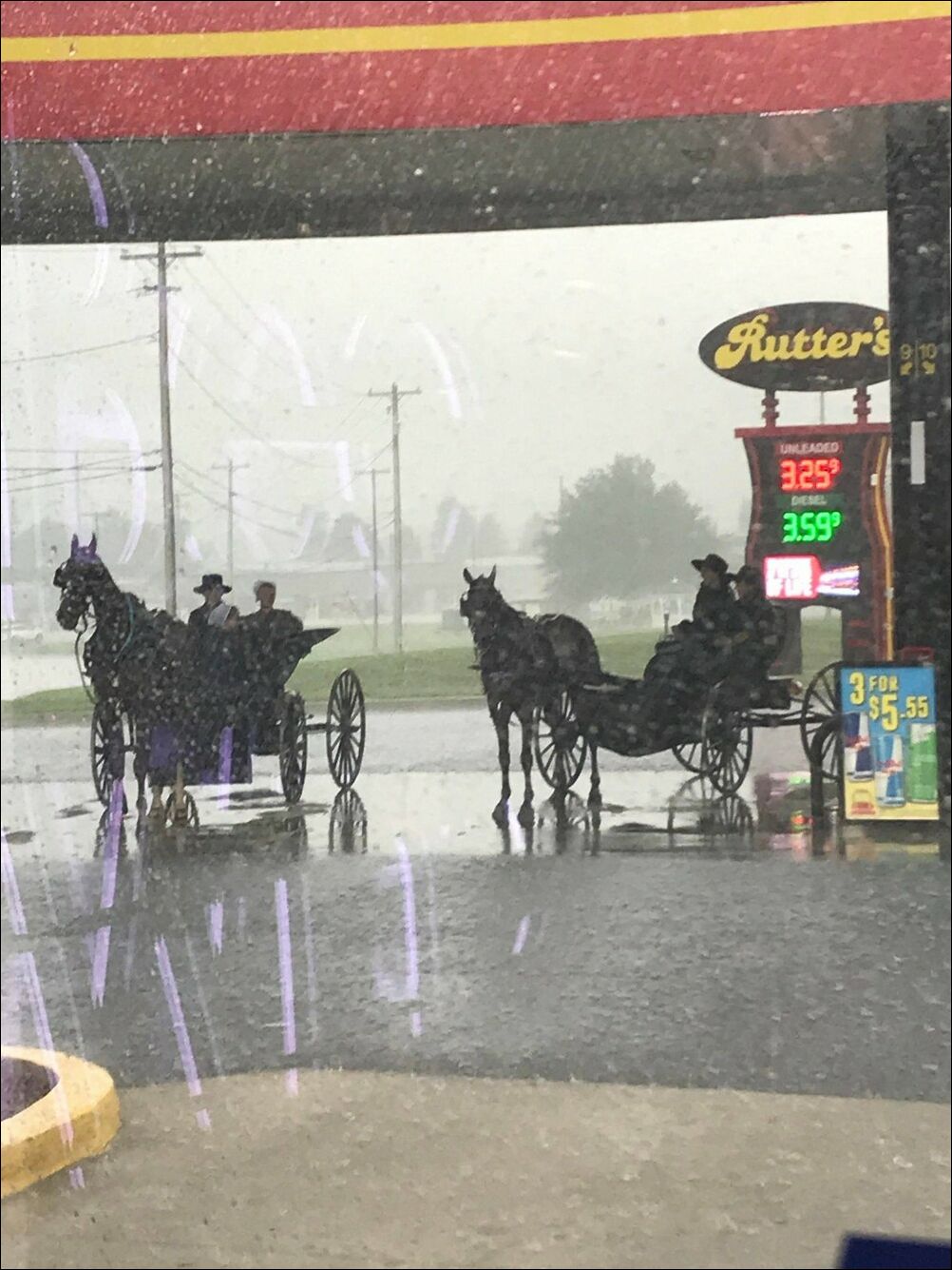 фотоприколы