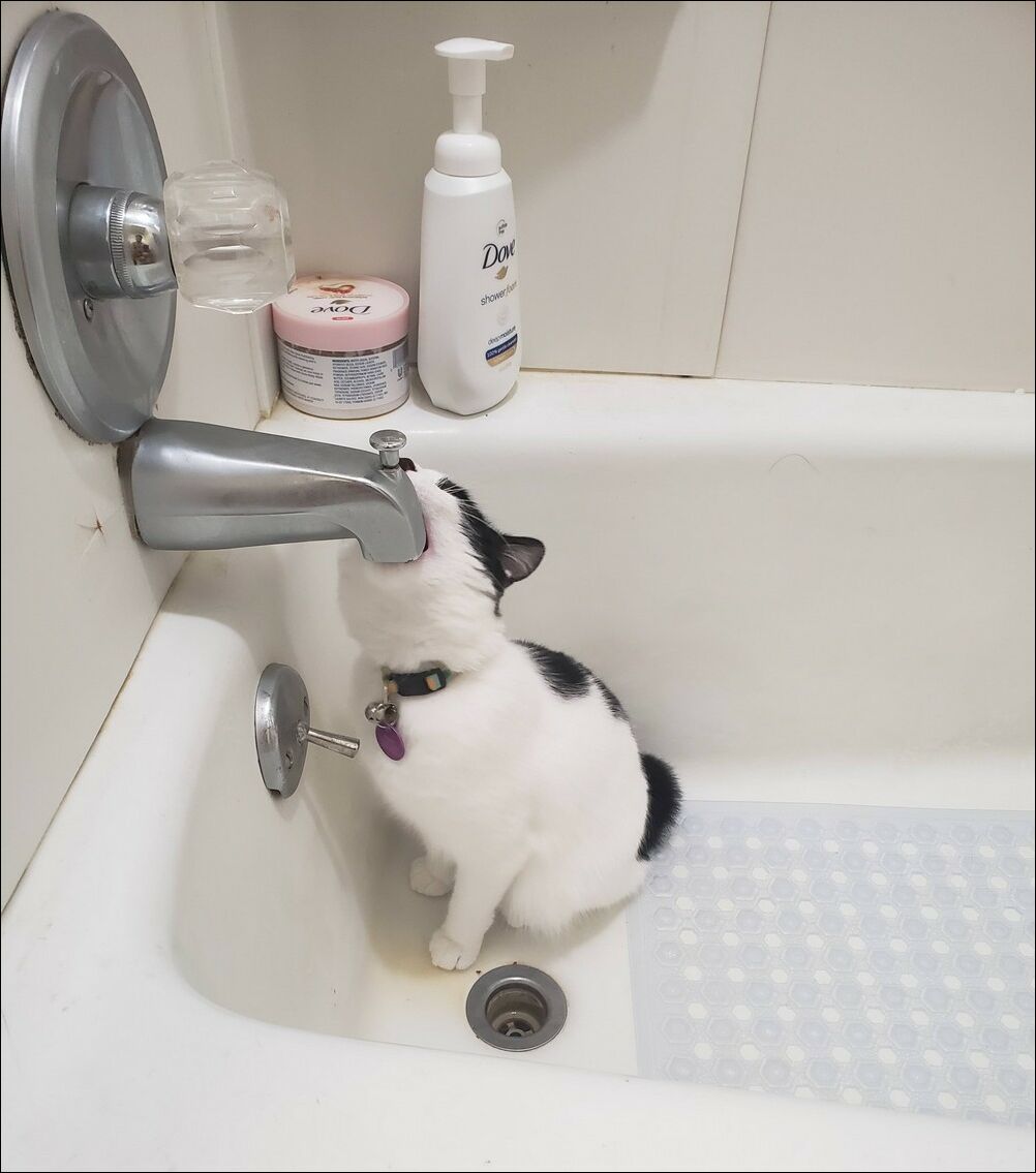 фотоприколы