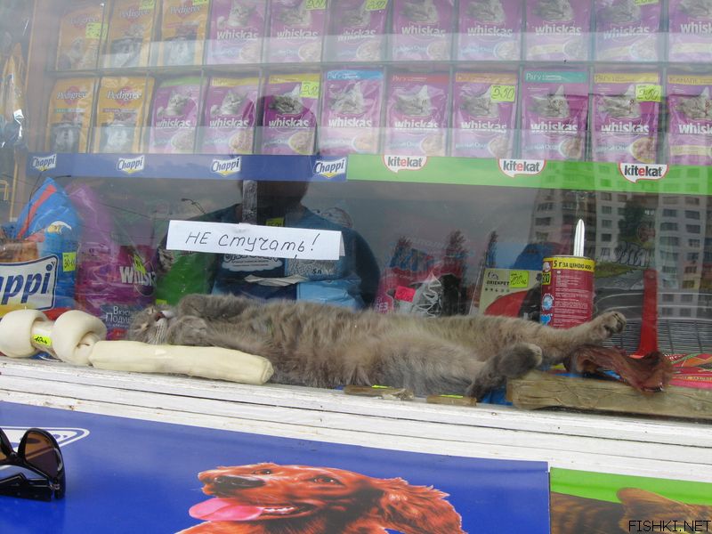 foto-prikol-050609-24