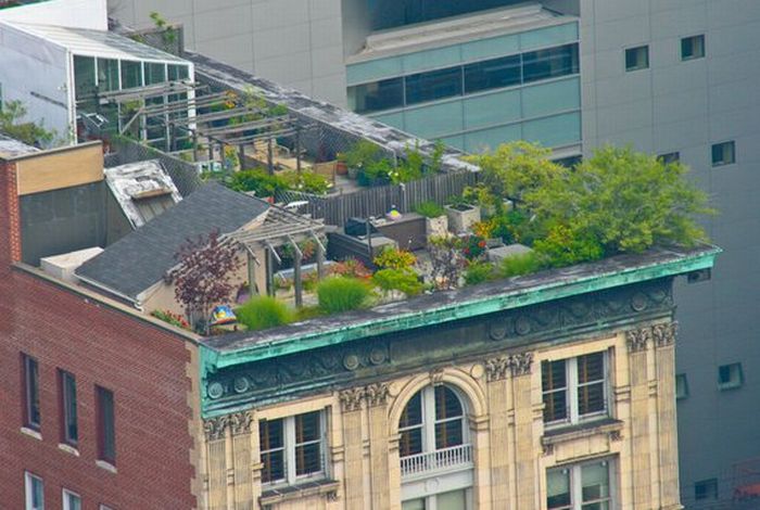 rooftops-of-rich-people-12
