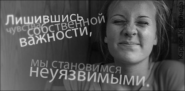 Афоризмы в картинках