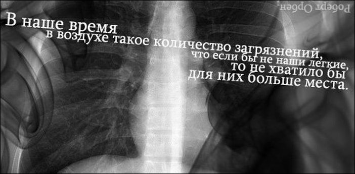 Афоризмы в картинках