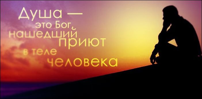 Афоризмы в картинках