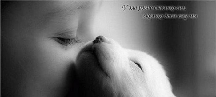 Афоризмы в картинках