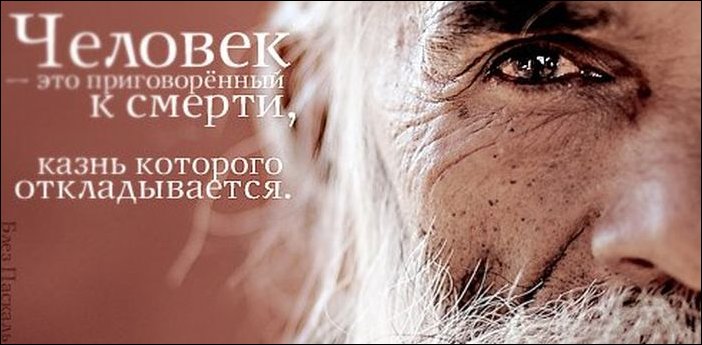 Афоризмы в картинках