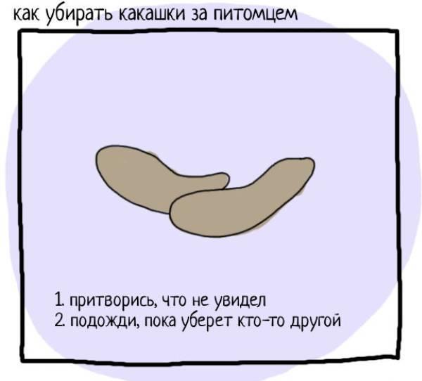 Советы по уборке дома