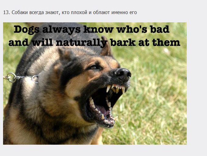 Голливудская реальность