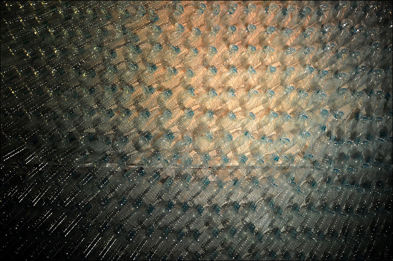 Гигантские рыбы, сделанные из пластиковых бутылок