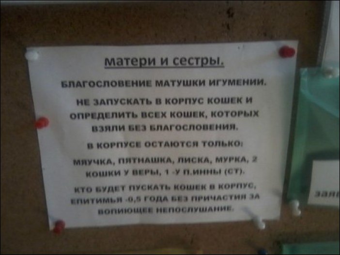 Прикольные надписи и объявления