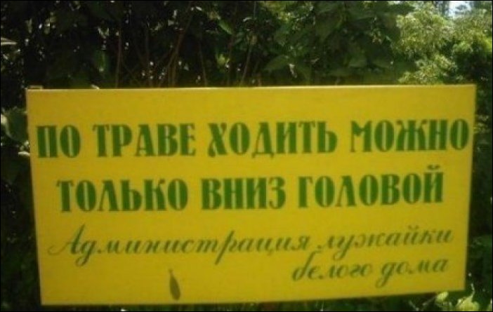 Прикольные надписи и объявления