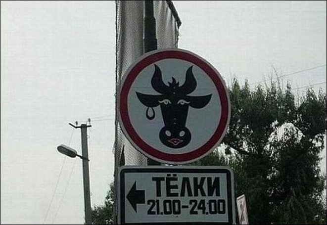 Прикольные надписи и объявления