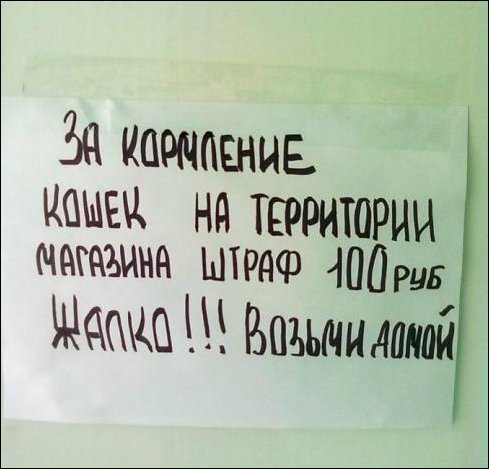 Прикольные надписи и объявления