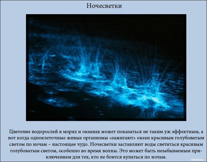 Топ-10 зрелищных явлений природы