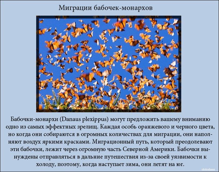 Топ-10 зрелищных явлений природы