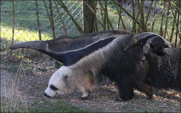 Фотографии, сделанные в нужный момент