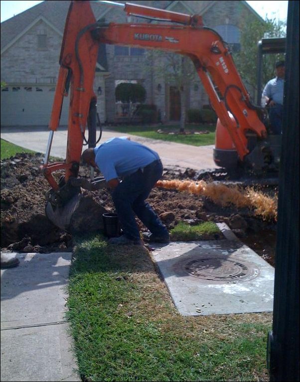 Фотографии, сделанные в нужный момент