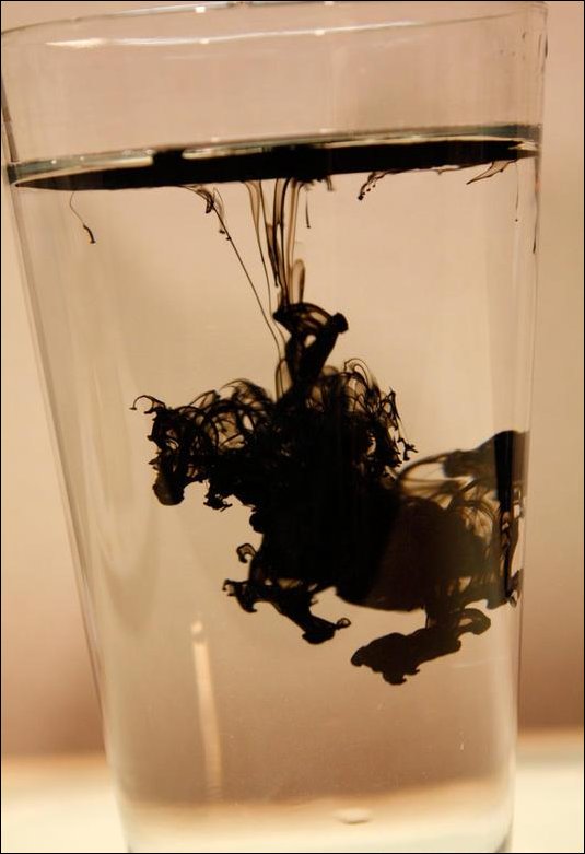 Фотографии, сделанные в нужный момент