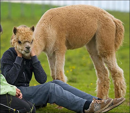 Фотографии, сделанные в нужный момент