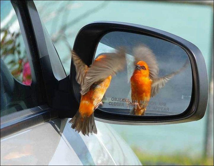 Фотографии, сделанные в нужный момент