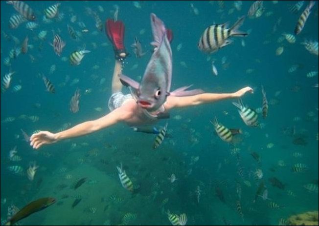 Фотографии, сделанные в нужный момент