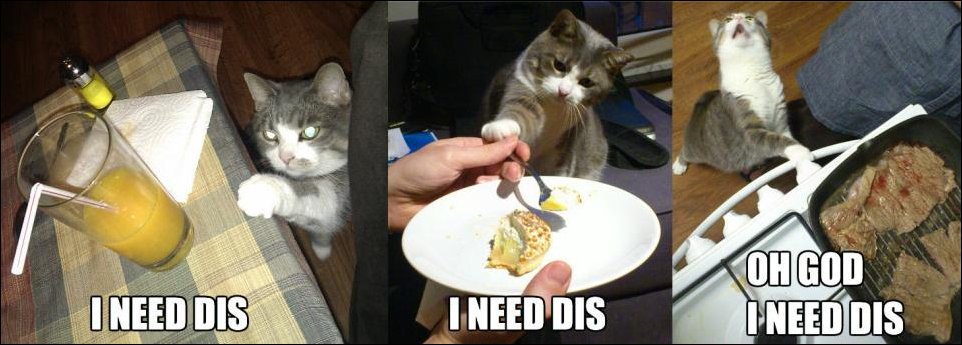 Подборка фотографий, фото приколы