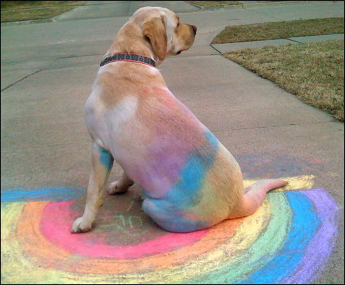 Подборка фотографий, фото приколы