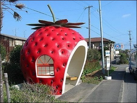 Подборка фотографий, фото приколы