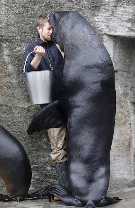 Подборка фотографий, фото приколы