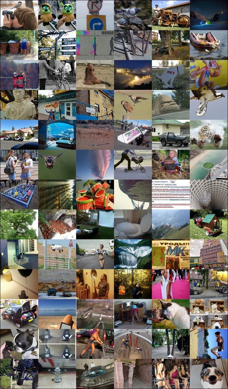 Подборка фотографий, фото приколы