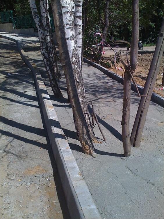 Подборка фотографий, фото приколы