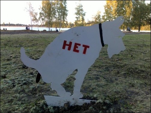 Подборка фотографий, фото приколы