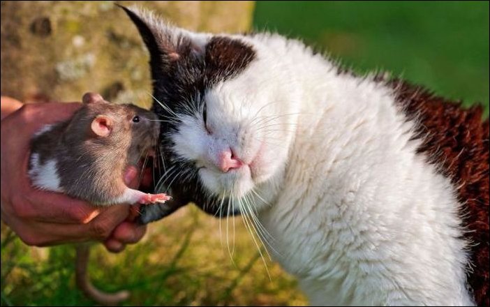 Подборка фотографий, фото приколы